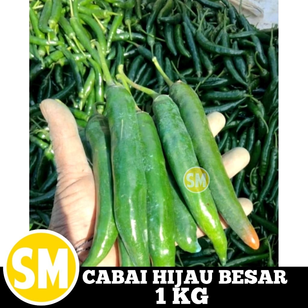 CABAI HIJAU BESAR 1 KG