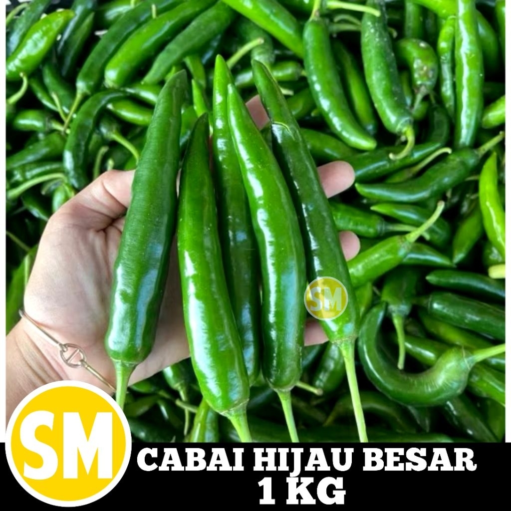 CABAI HIJAU  BESAR 1KG