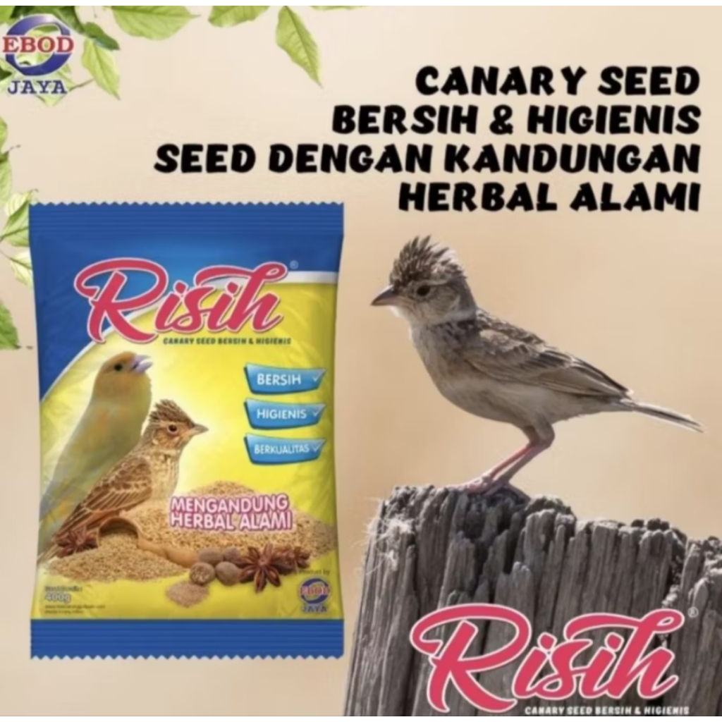 RISIH KENARI SEED EBOD JAYA PAKAN BURUNG FINCH KENARI BRANJANGAN DLL