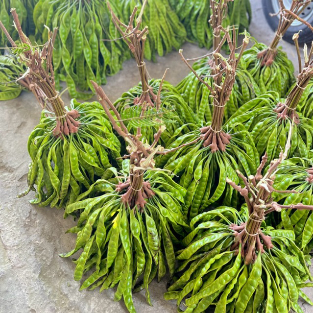 

pete ukuran tanggung 10 lonjor/10 papan