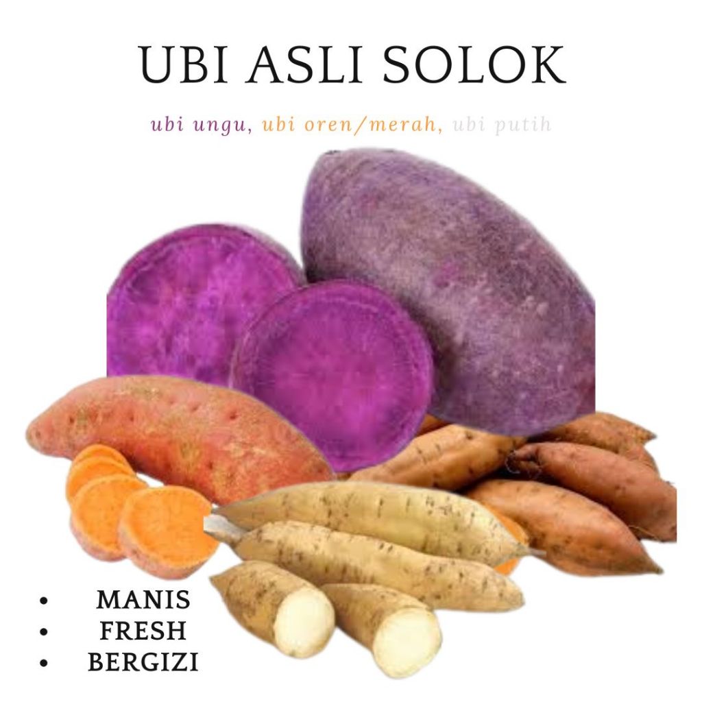 UBI JALAR ASLI SOLOK | UBI JALAR UNGU | UBI JALAR OREN | UBI JALAR PUTIH |  FRESH 1 KG