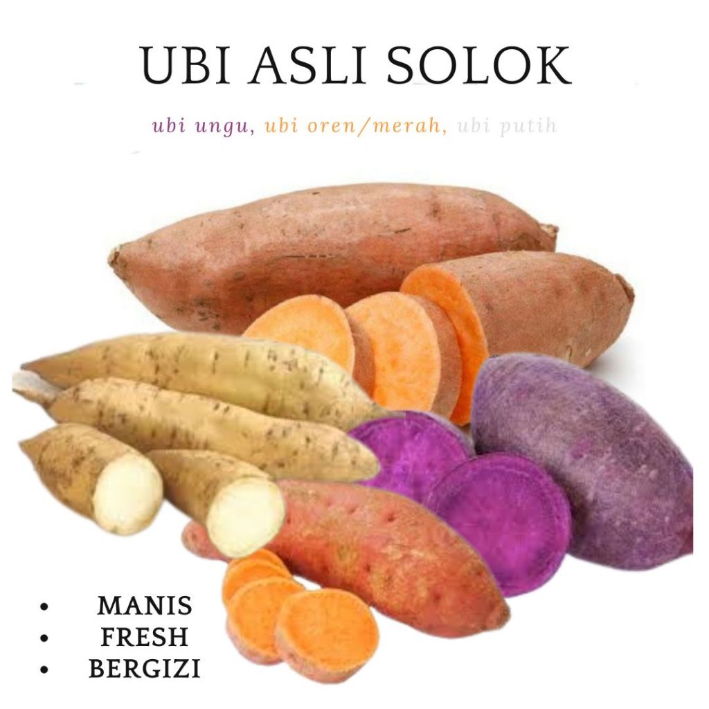 UBI JALAR ASLI SOLOK | UBI JALAR OREN | UBI JALAR PUTIH | UBI JALAR UNGU |  FRESH 1 KG