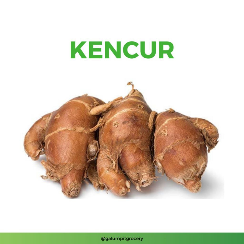 Kencur/Cikur Segar 100gr | Kirim Instant Bandung Timur