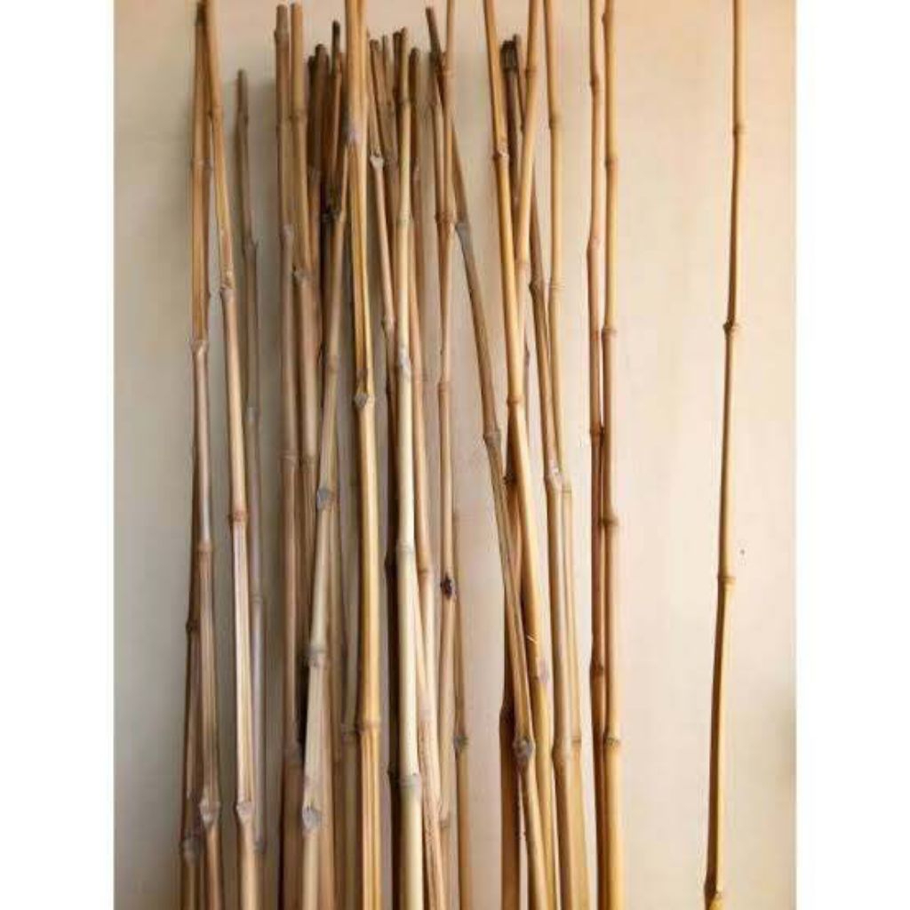 

Ranting Bambu Petung Kering 120 cm