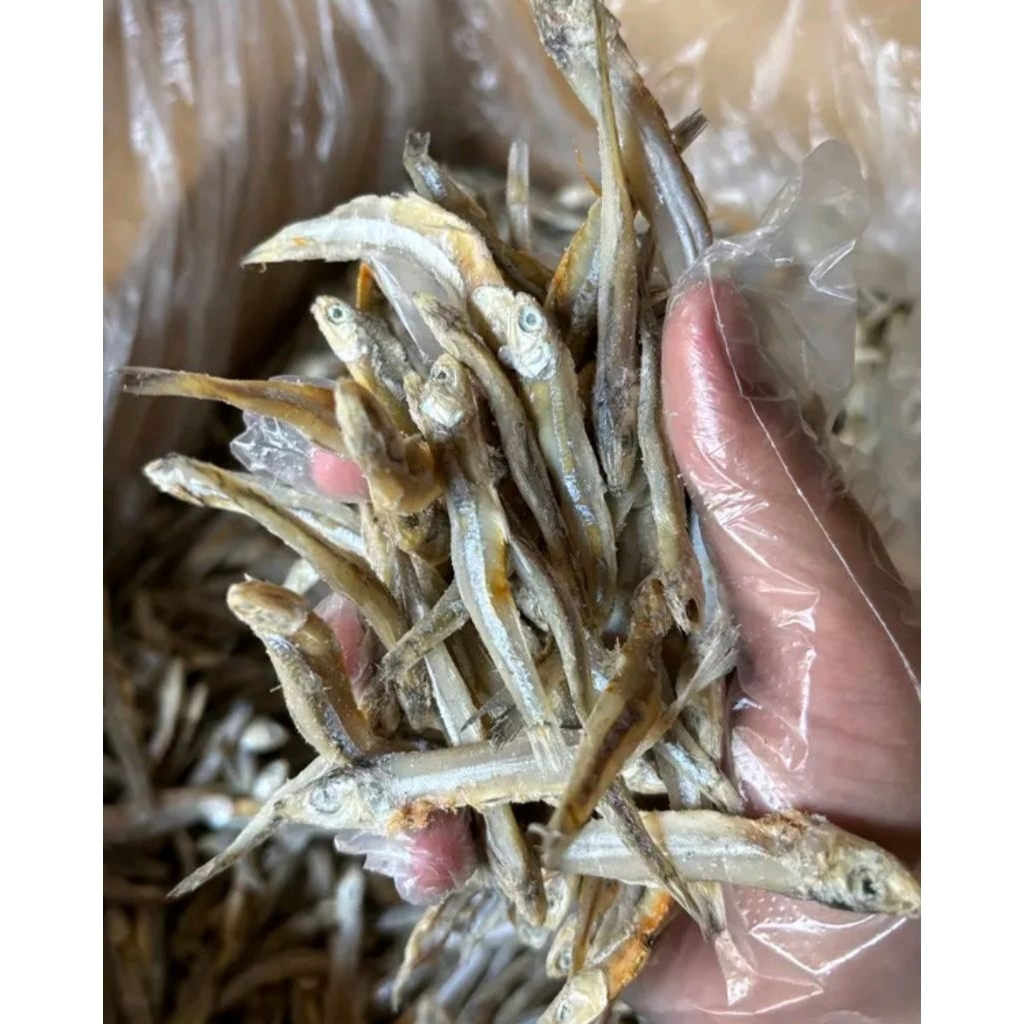 

Ikan Asin Teri Jengki Super Lezat Gurih Termurah 250Grm