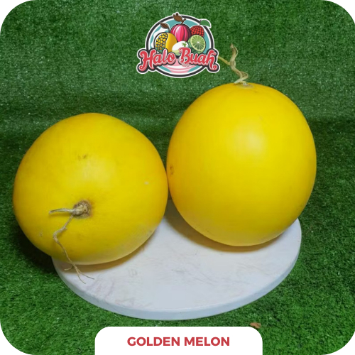 

Buah Golden Melon Manis 2 - 2.5 kg