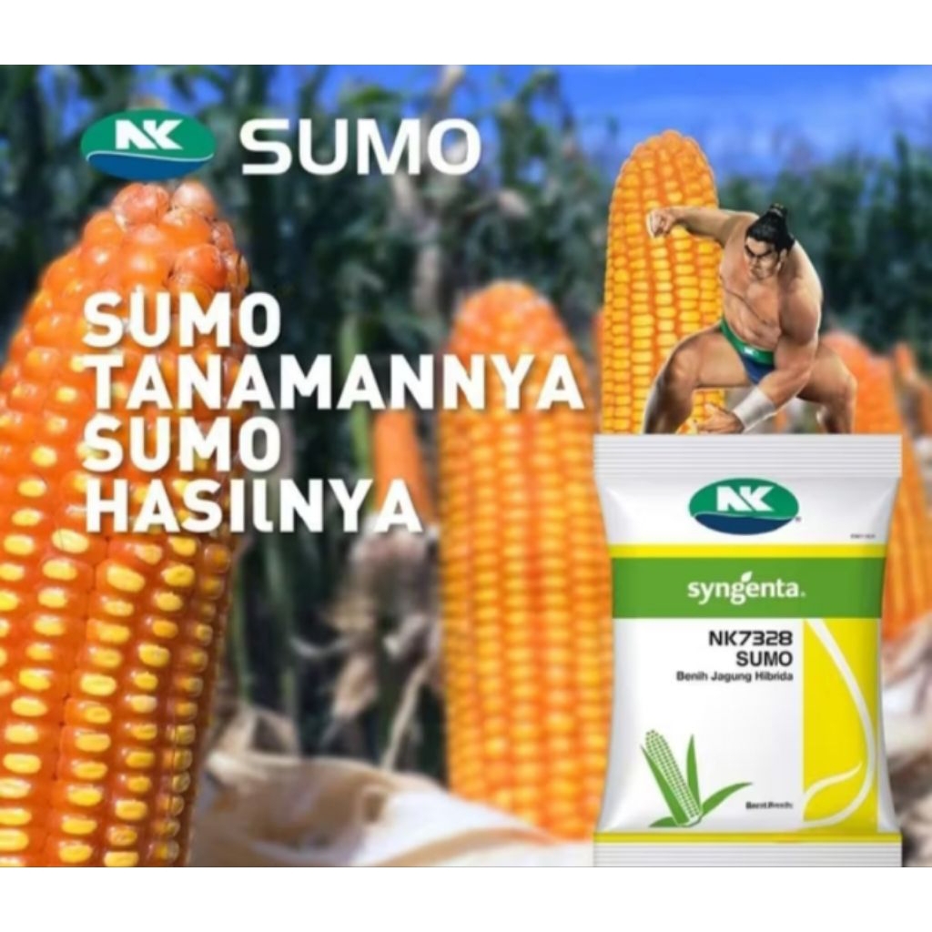 

Benih Jagung NK Sumo 5kg Original