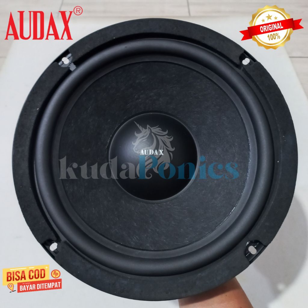 Speaker Audax Pasif 10 inch 8 ohm 150 Watt AX-10055 SW8 Subwoofer MK II Original