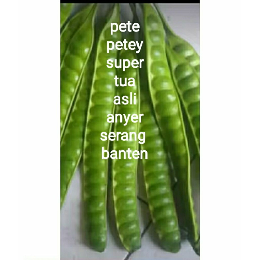

petei fresh tua panjang per 10 papan