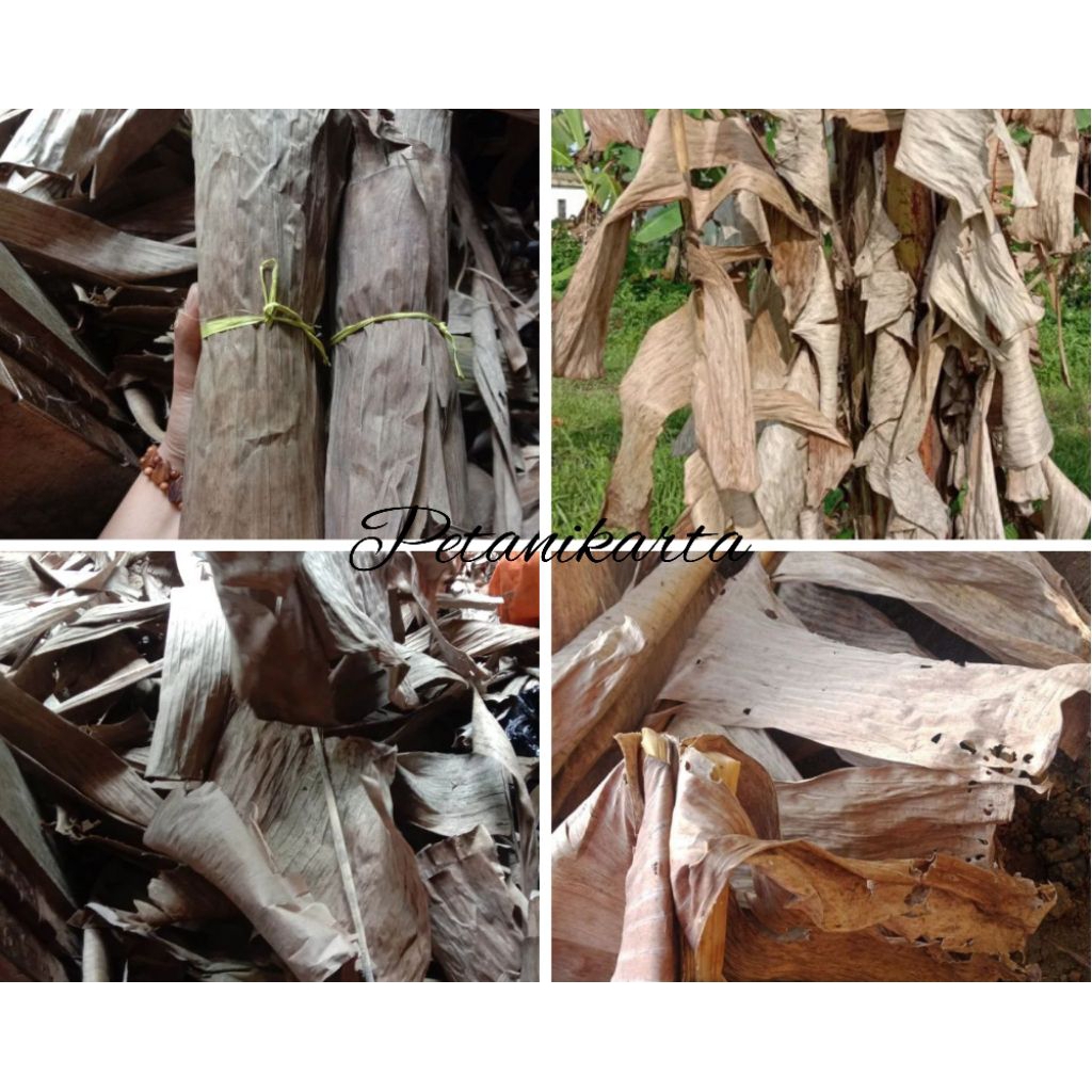 

Daun Pisang kering/kalaras