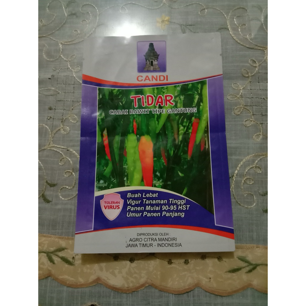 benih cabai Tidar cabe rawit tipe gantung anti virus