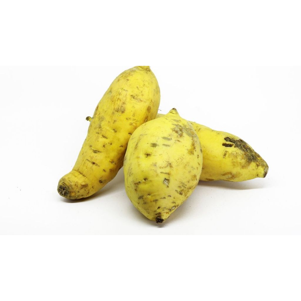 

Ubi Jalar Kuning Madu Manis fres 1 kg Petik Langsung Dari Kebun