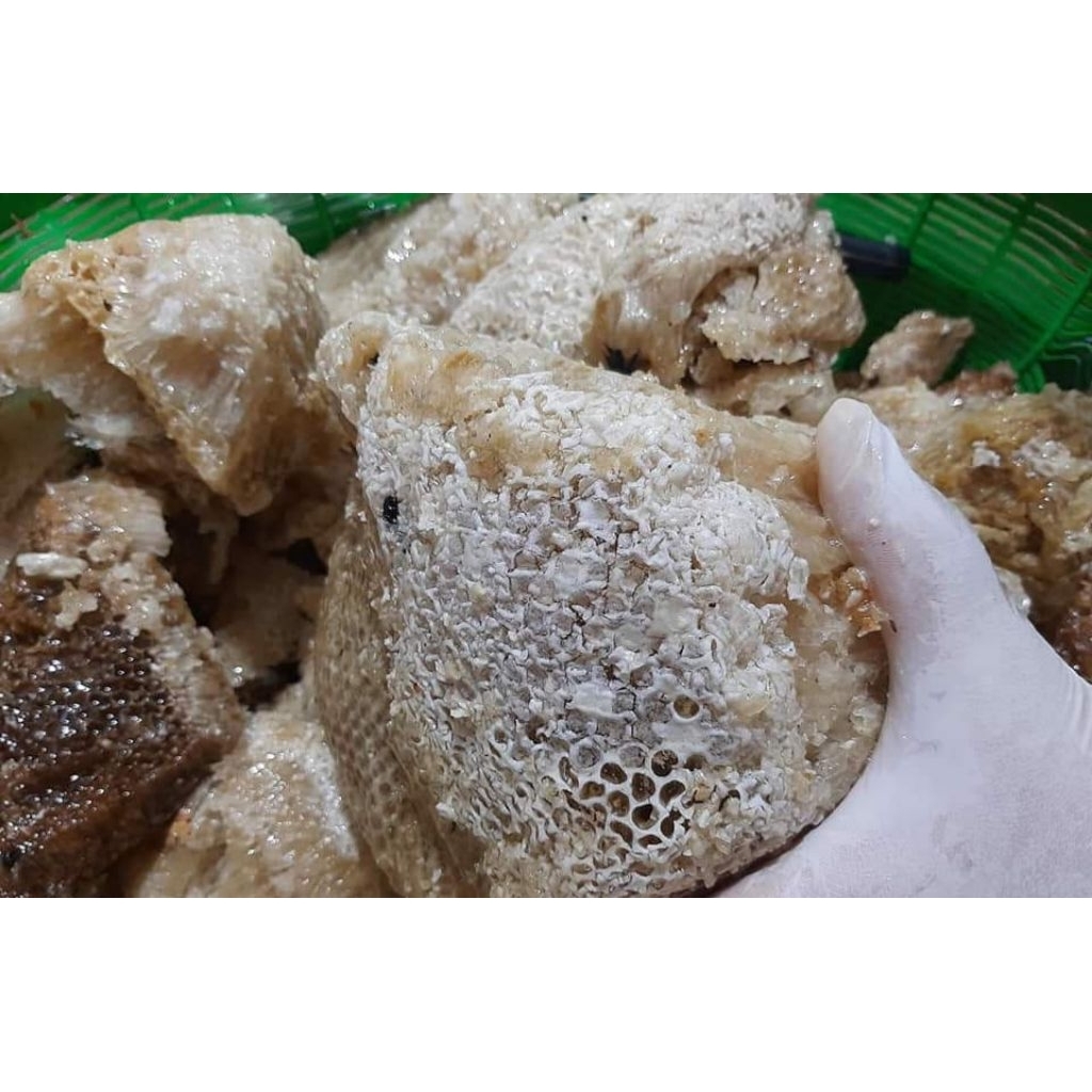 

GROSIR MADU HUTAN LIAR APIS DORSATA/ODENG 10.KG