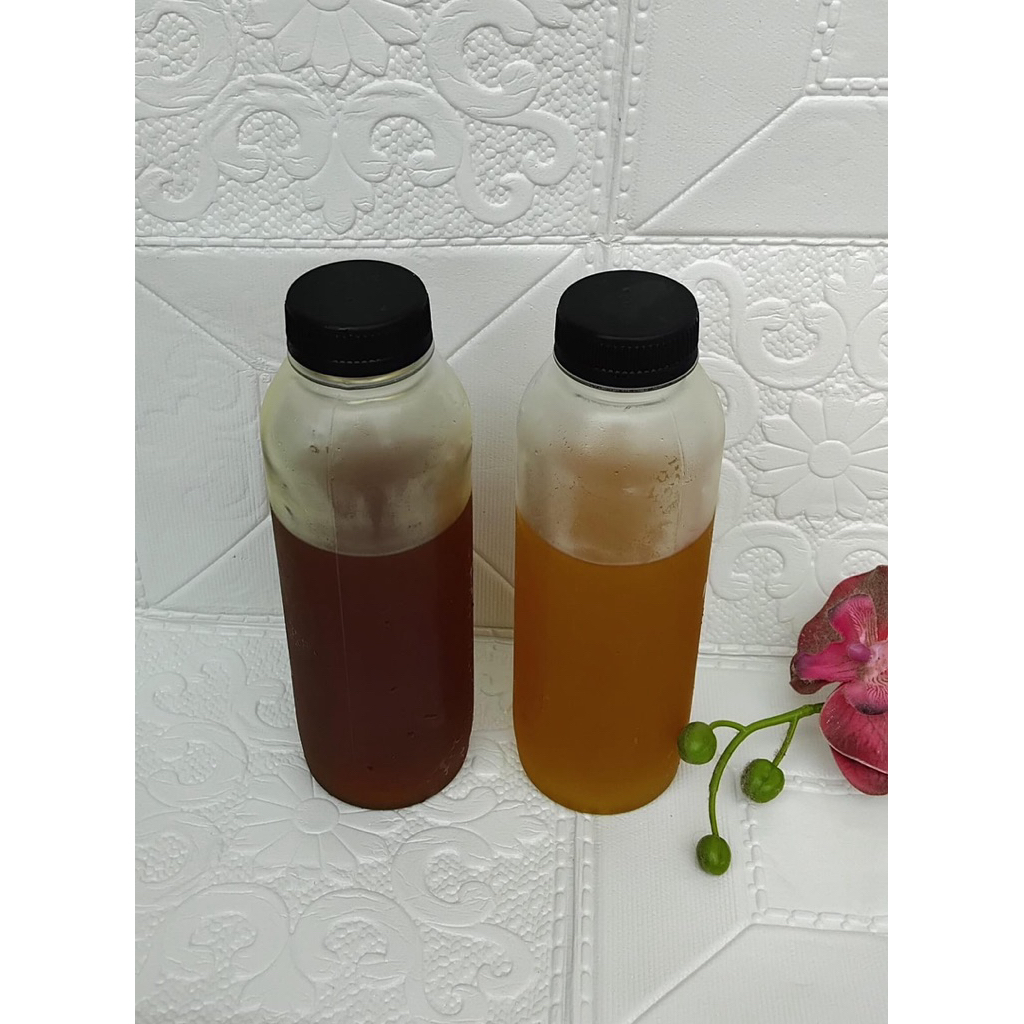 MADU HUTAN SUMATRA ASLI / Madu Hutan Asli 1kg / Madu Hutan Liar 1kg