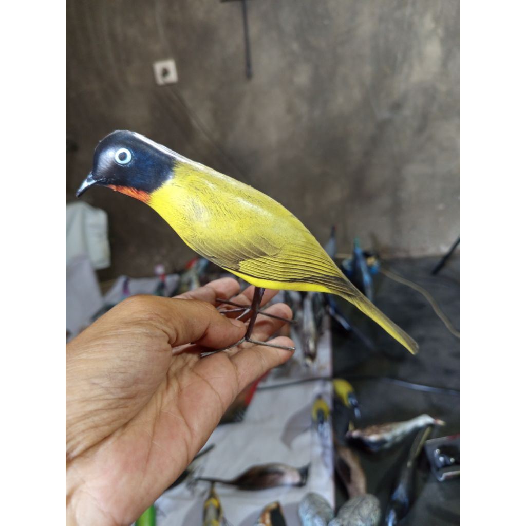 boneka patung burung ocehan poksay hongkong jontrot manuk kurincang tahan penyok manuk ocehan
