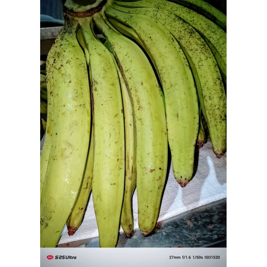 

PISANG TANDUK MADU SUPER QUALITY. TERMURAH