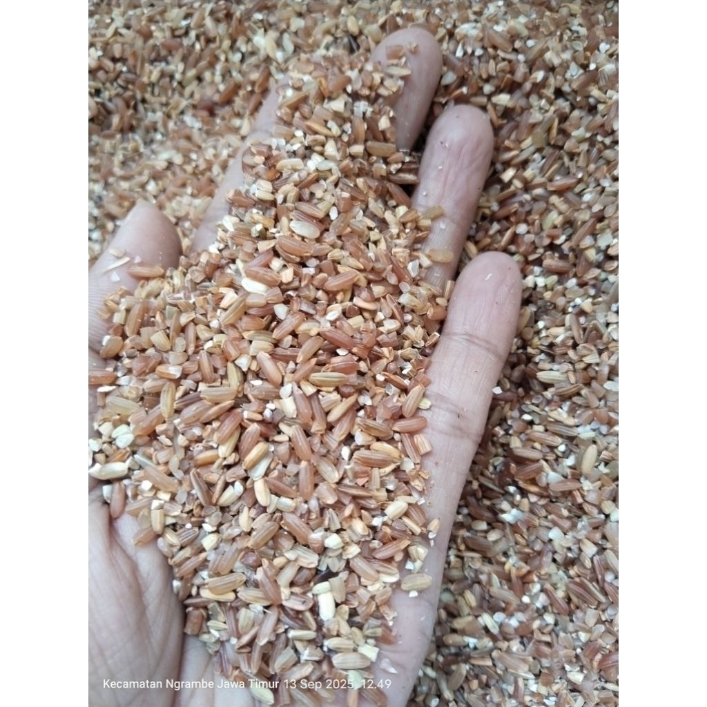 MENIR BERAS MERAH 1KG / BERAS MERAH PATAH / BERAS MERAH BROKEN