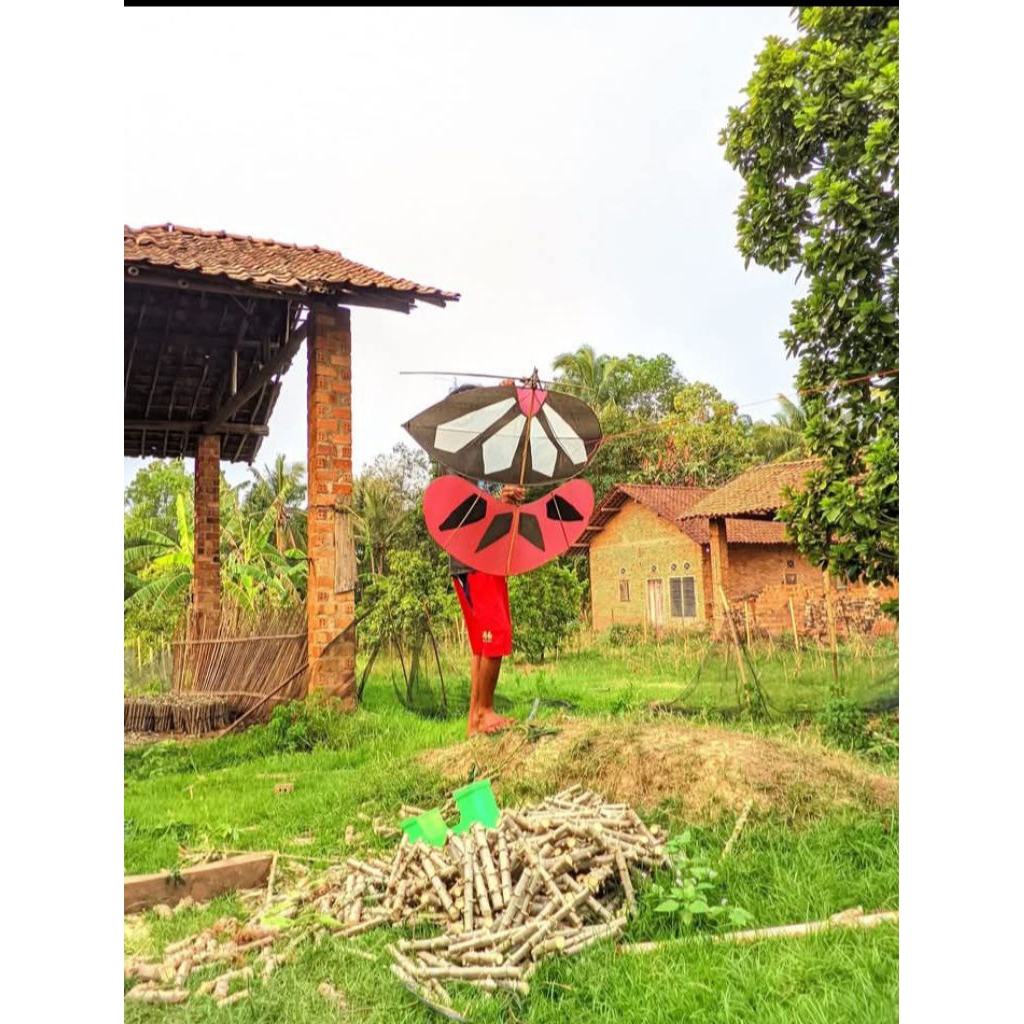 LAYANGAN GAPANGAN BABON ANGGREM SIAP TERBANG + SENDAREN TERMURAH