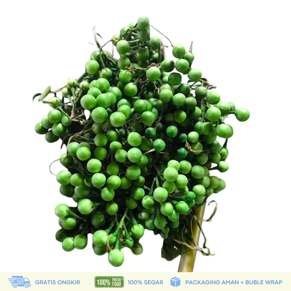 

BUAH TEKOKAK | BUAH CEPOKAK SEGAR 250 GRAM