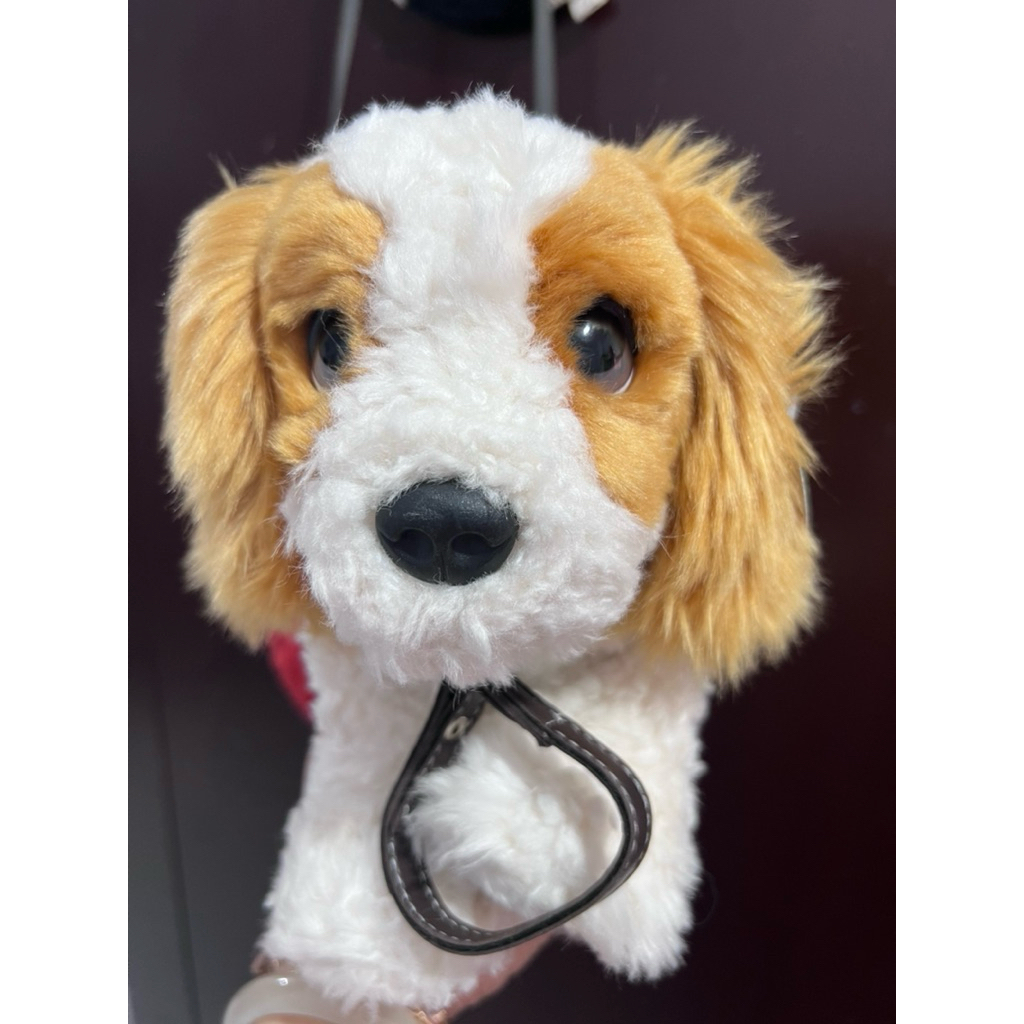 Boneka Anjing Ras Cavalier King Charles Spaniel Baru 25 Cm