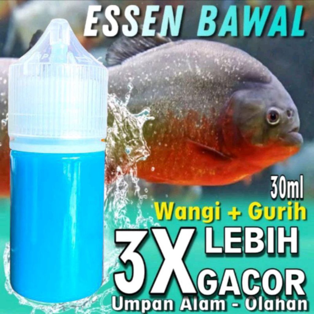 Essen Ikan Bawal Harian Dan Galatama, Essen Ikan Bawal Media Cacing Paling Gacor Essen Ikan Bawal Me