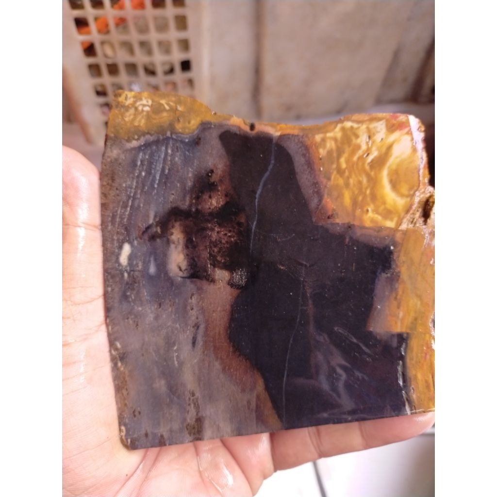 batu bahan natural fosiI kayu kelor