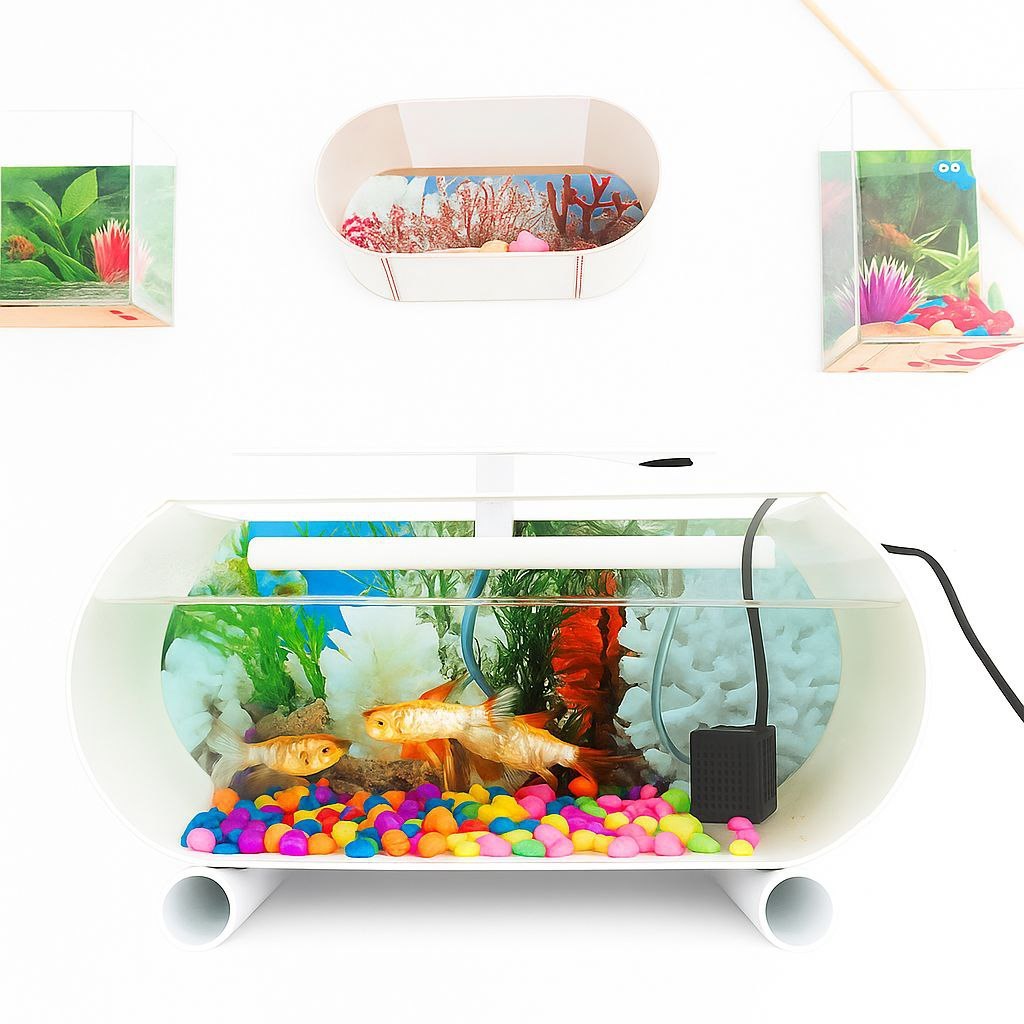 Akuarium Minimalis ukuran Jumbo