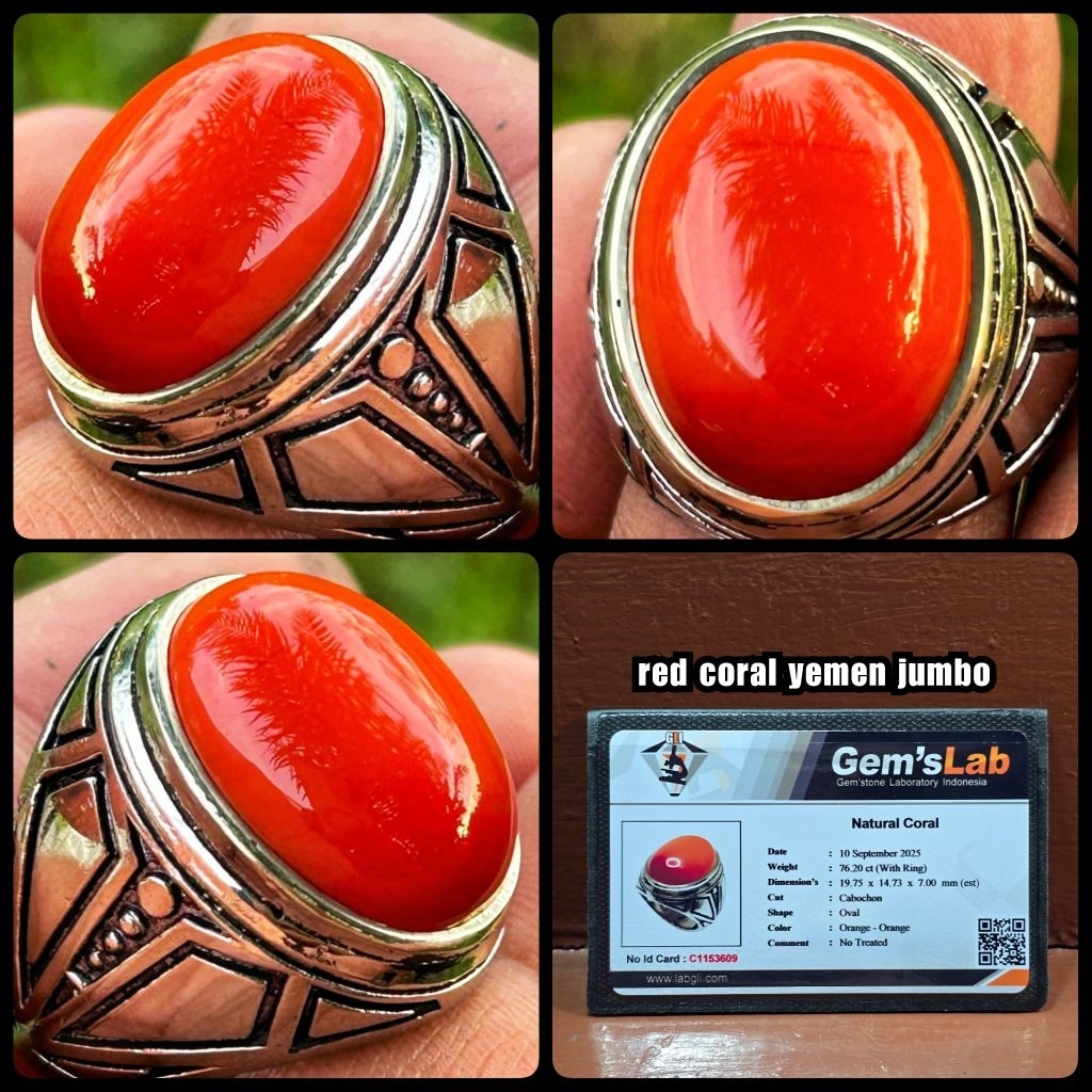 asli 100% batu marjan merah super kristal ( ori laut merah yemen )