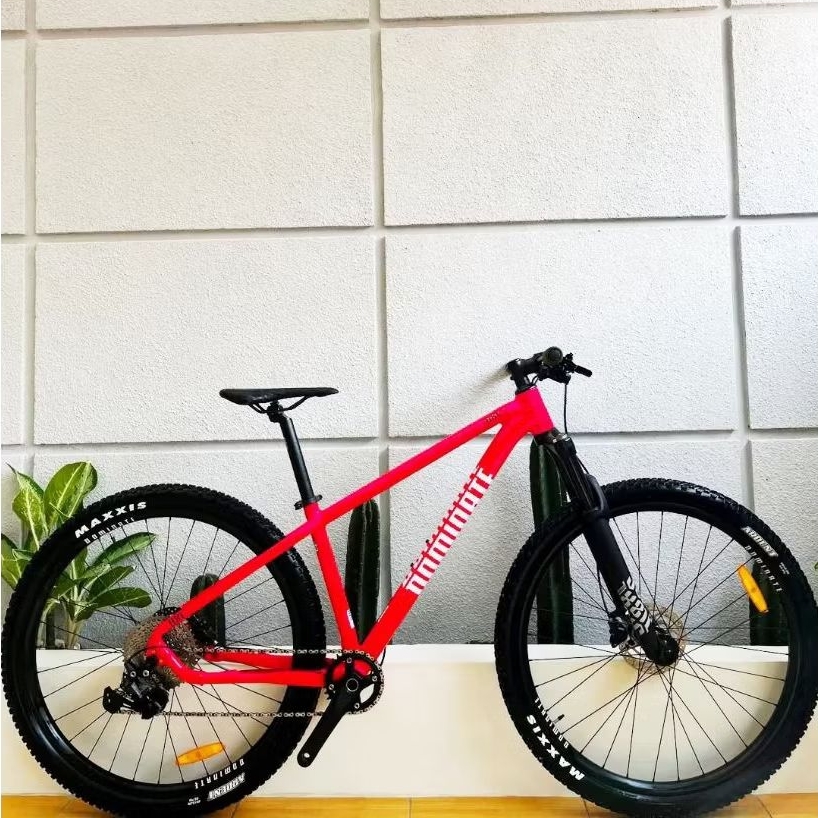 SEPEDA MTB DOMINATE AXC2 1 x 10 SPEED 29 INCH BY UNITED