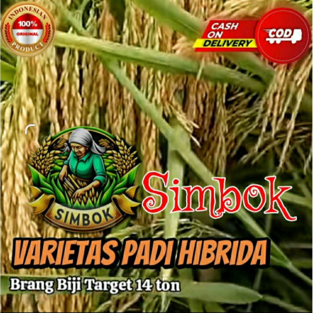 benih padi unggul VARIETAS HIBRIDA SIMBOK
