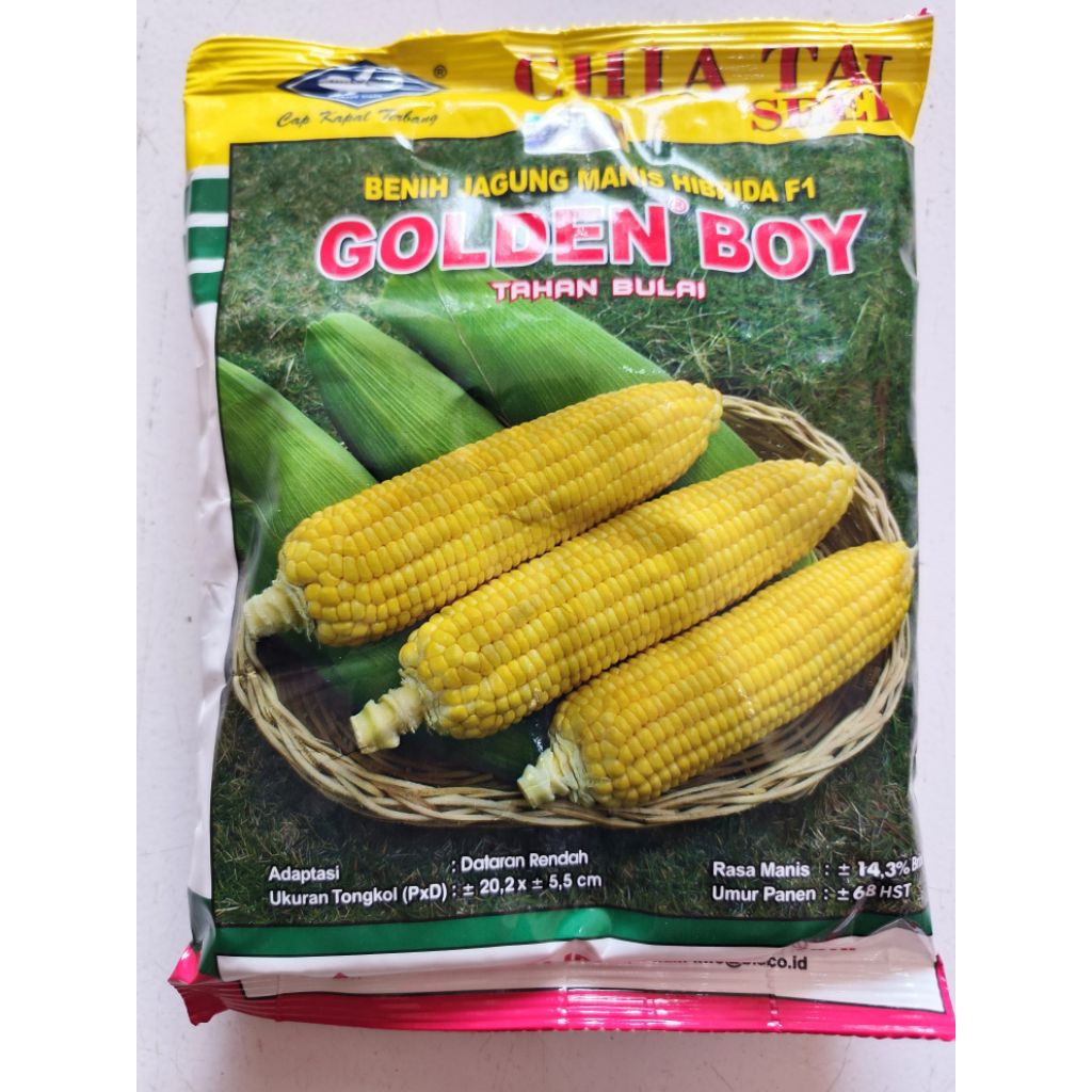 250 Gram Benih Jagung Manis GOLDEN BOY F1 - Bibit Cap Kapal Terbang