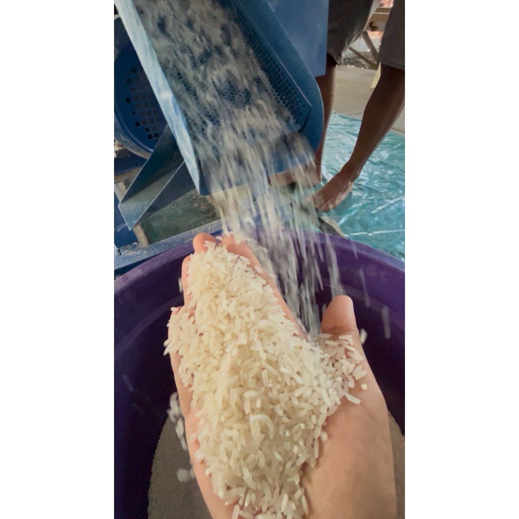 Beras 10kg terbaik, beras Raja C4 terbaik