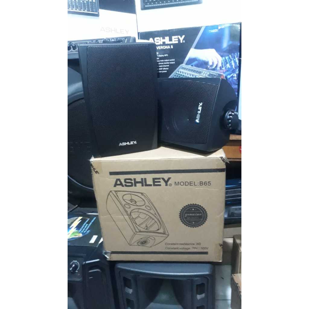Speaker Pasif Ashley B65 Original Termurah