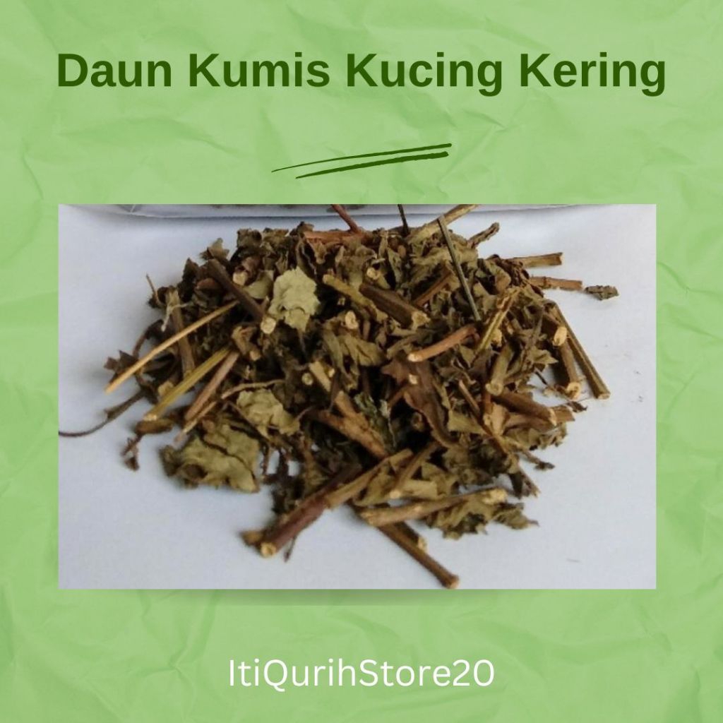 Daun Kumis Kucing Kering 500Gram Tanaman Kumis Kucing / Kumis Kucing Kering