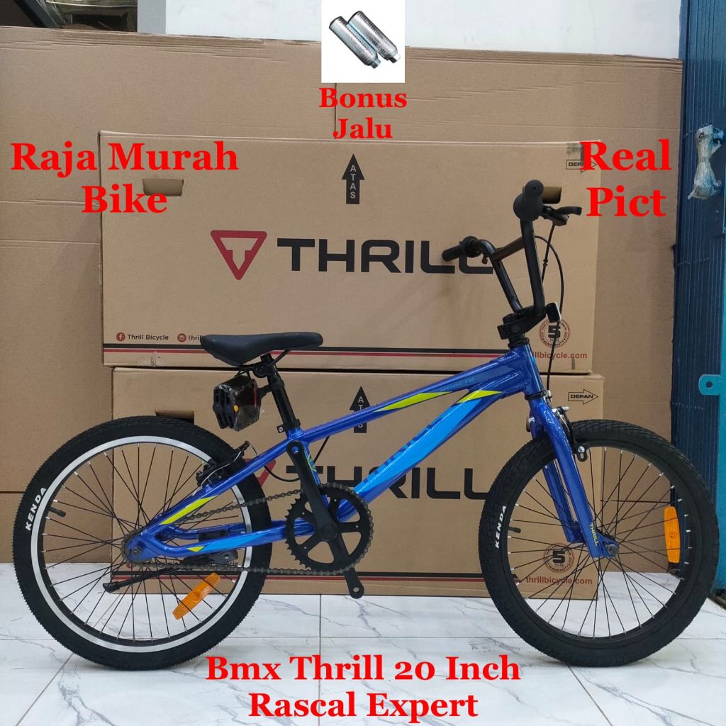 Sepeda Anak Bmx 20 Inch Thrill Rascal Expert New Sepeda Anak Bmx Thrill Rascal  Expert 20 Inch