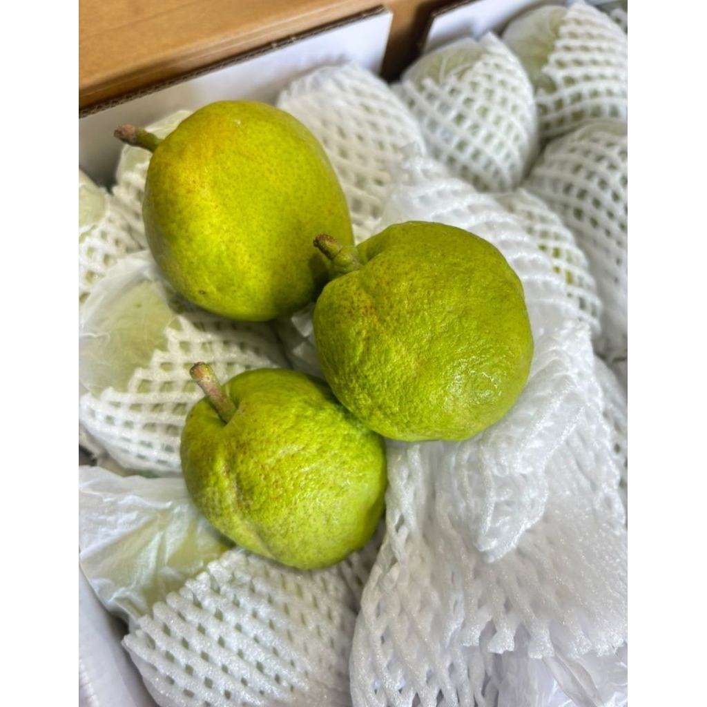 

Pear Xiang Lie 1 dus 6 kg