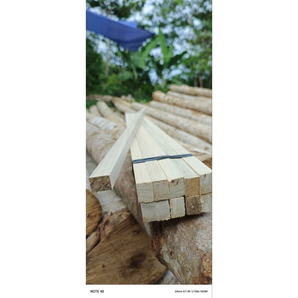 KASO KAYU LIST KAYU RENG 2X3 PANJANG 2METER PAKET 10 (RENG SORTIRAN) HARGA MURAH ISI 10BATANG KAYU R