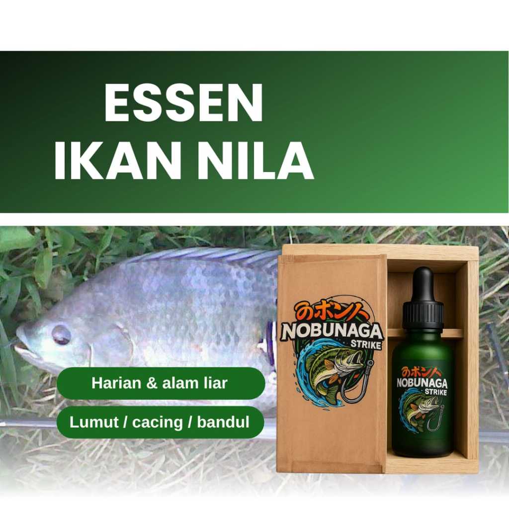 Nobunaga Strike Essen Ikan Nila Ampuh Harian Galapung Galatama Umpan Ikan Nila Babon