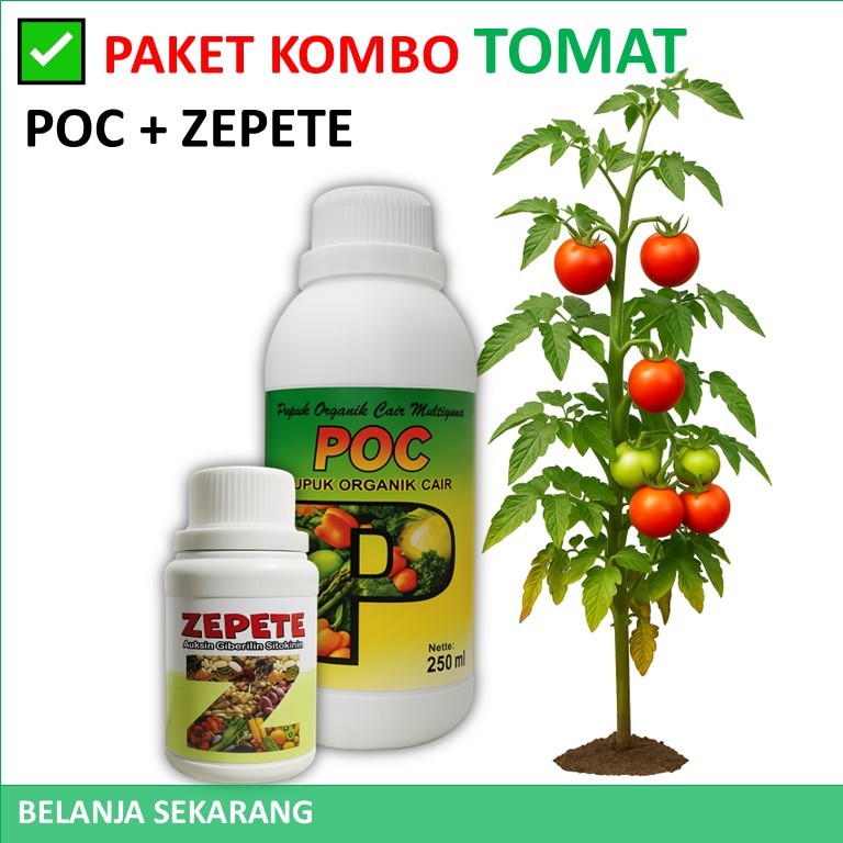Paket POC + ZPT Tomat berbuah lebat | PUPUK tomat agar cepat berbuah | PUPUK tomat buah lebat