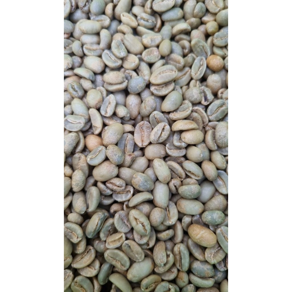 

Arabika Biji Kopi Mentah 1KG Gunung Ijen Arabica Coffee Green Beans