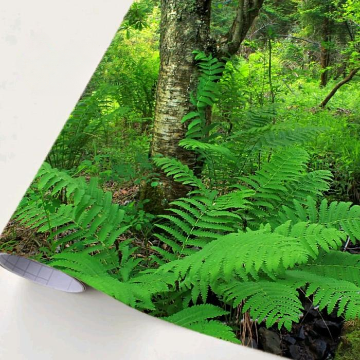 

Stiker camo Natural Wild Pern³ 50x50cm