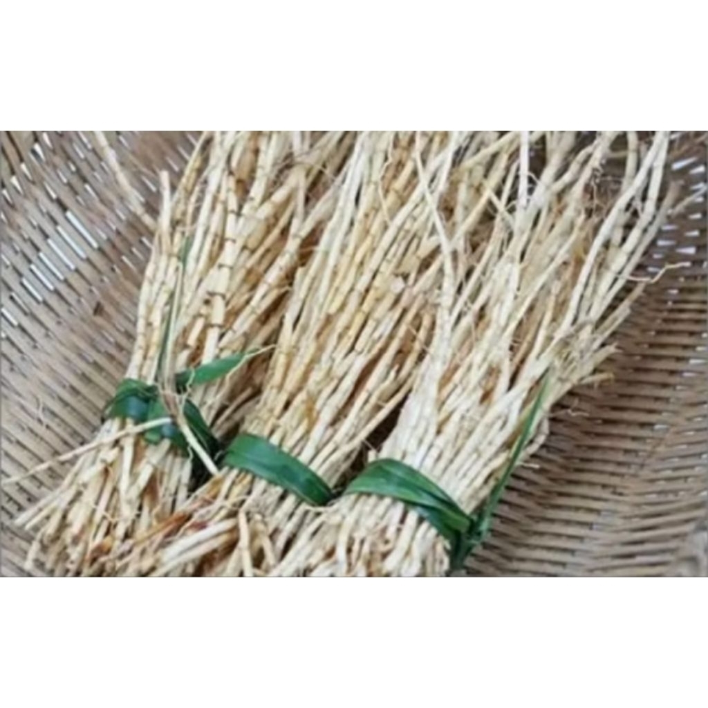 

akar Alang Alang 500 gram