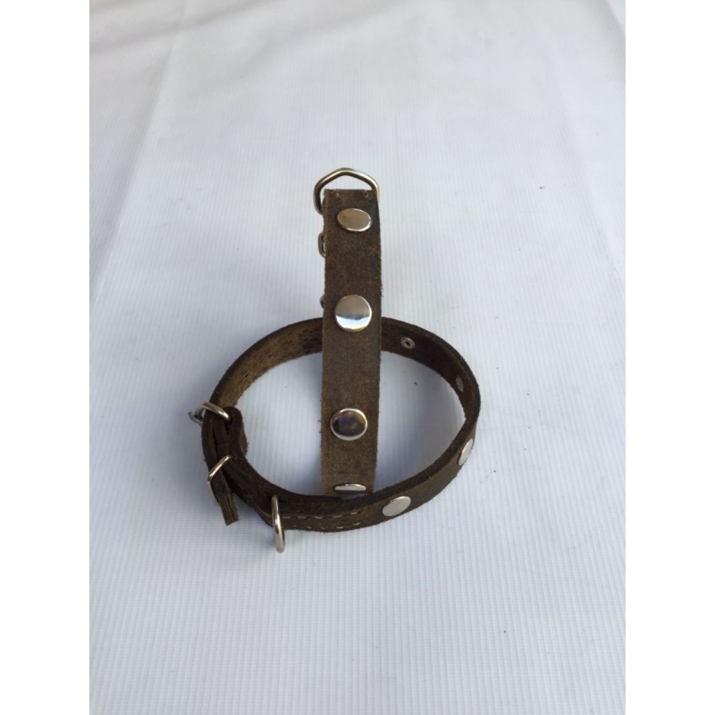 kalung anjing kampung kulit kalung anjing