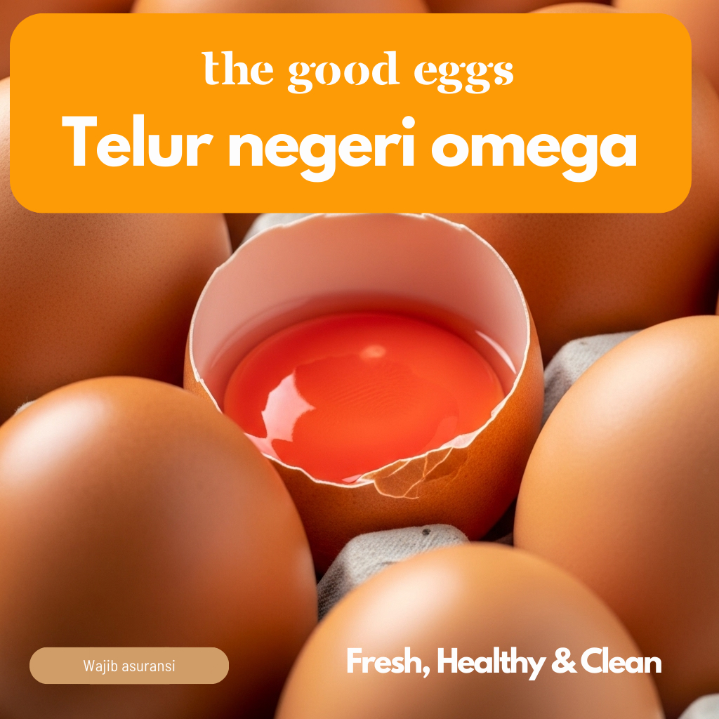 

Telur Ayam Negeri Omega - 1 Tray - Fresh, Bersih, Sehat