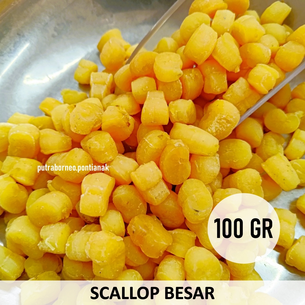 

[Besar] Scallop Kerang Kering 100 gr / Dried Scallop / Kong Yau Cu / Gan Bei / Hasil Laut Kering