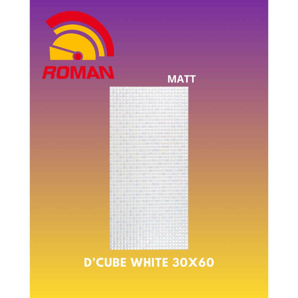 ROMAN D'CUBE WHITE 30X60