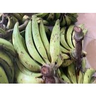 Pisang tanduk madu dan pisang tanduk kapas 1kg-2kg