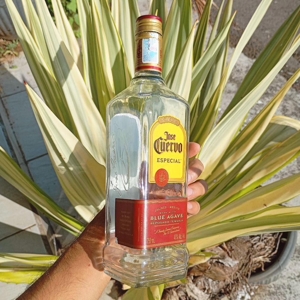 PROMO Botol Jose Cuervo bir hiasan Cafe dekorasi estetik Aesthetic