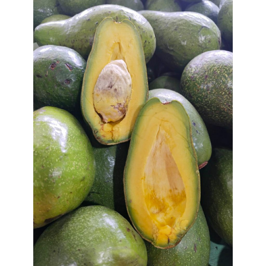 

Alpukat Mentega fresh