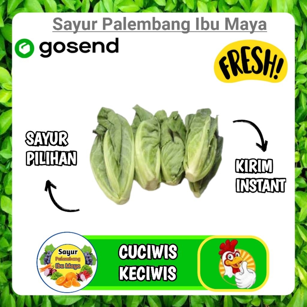 Cuciwis - [ Sayuran Segar PLG ]